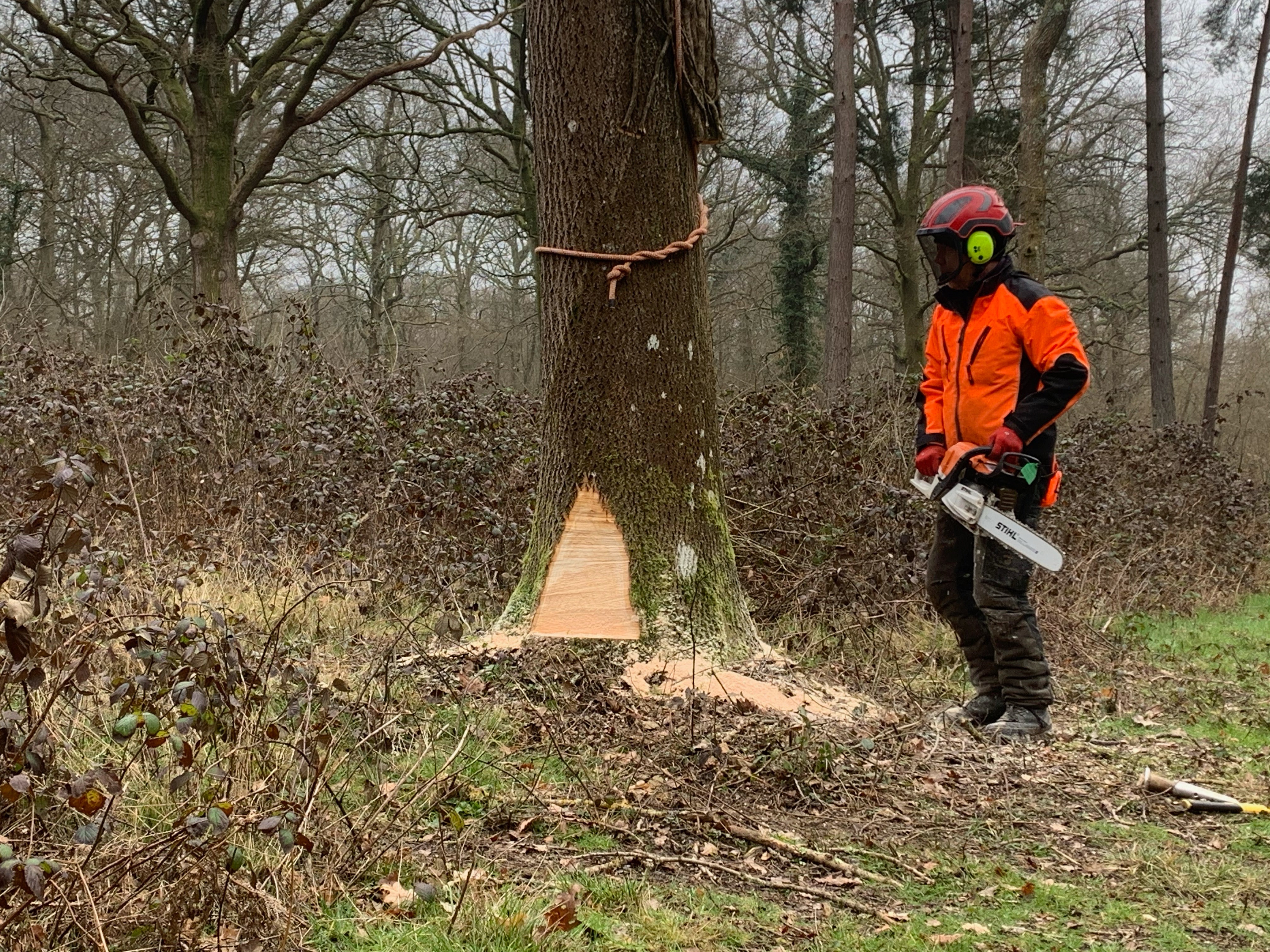 Lantra Awards Assisted Felling