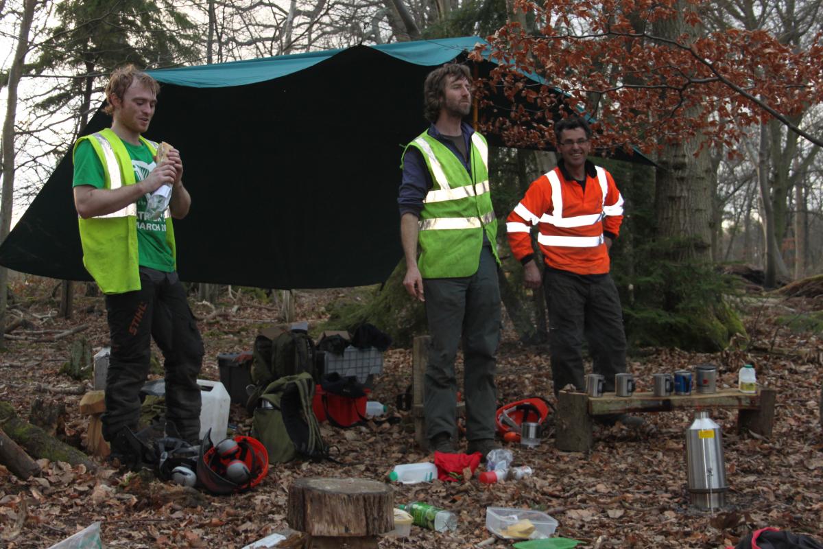 Medium Tree Felling Course brief 