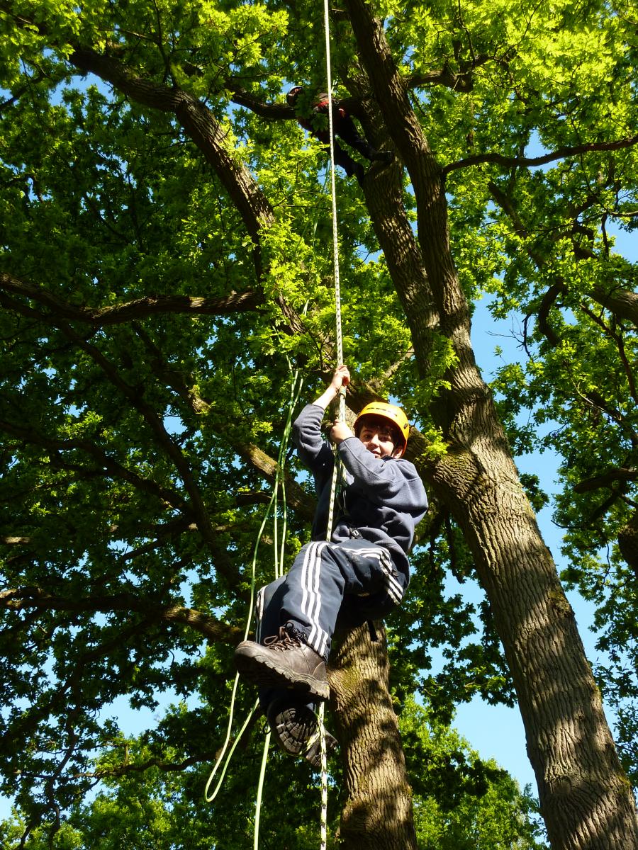 Kid making his way down a tree holding a rope