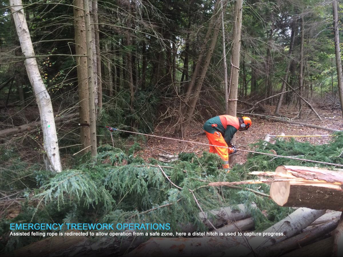 Emergency Treework Operations 