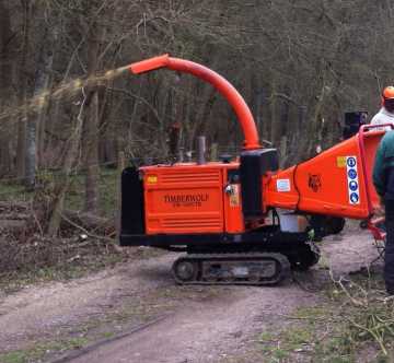 Two tree cutters using a wood chipper 