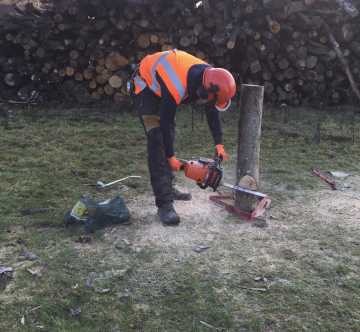 NPTC felling 
