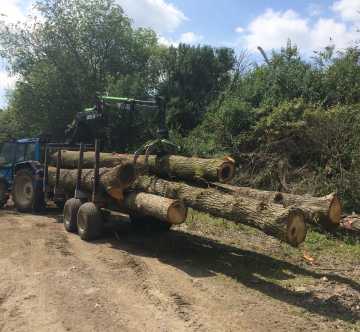 Scott Fraser Training's blue Valtra tractor with white wheels towing a trailer full of logs