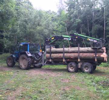 Timber extraction