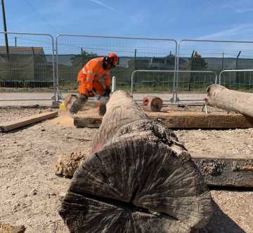 Stihl 362 chainsaw training 