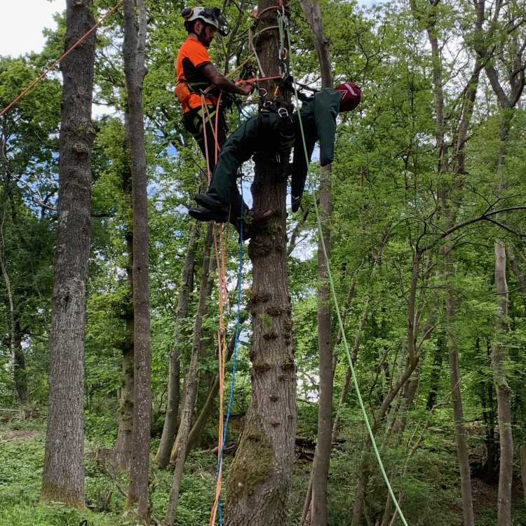 aerial rescue with 'Ruth Lee'