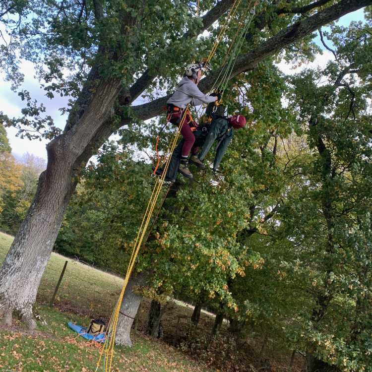 aerial rescue