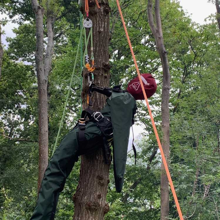 manikin aerial rescue 