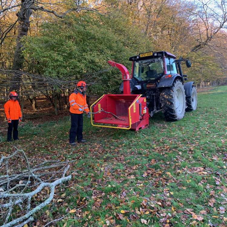 Chipper training following aerial cutting