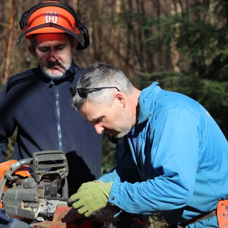 Chainsaw maintenance on site 