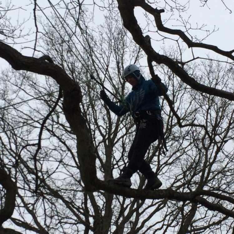 Person branch walking