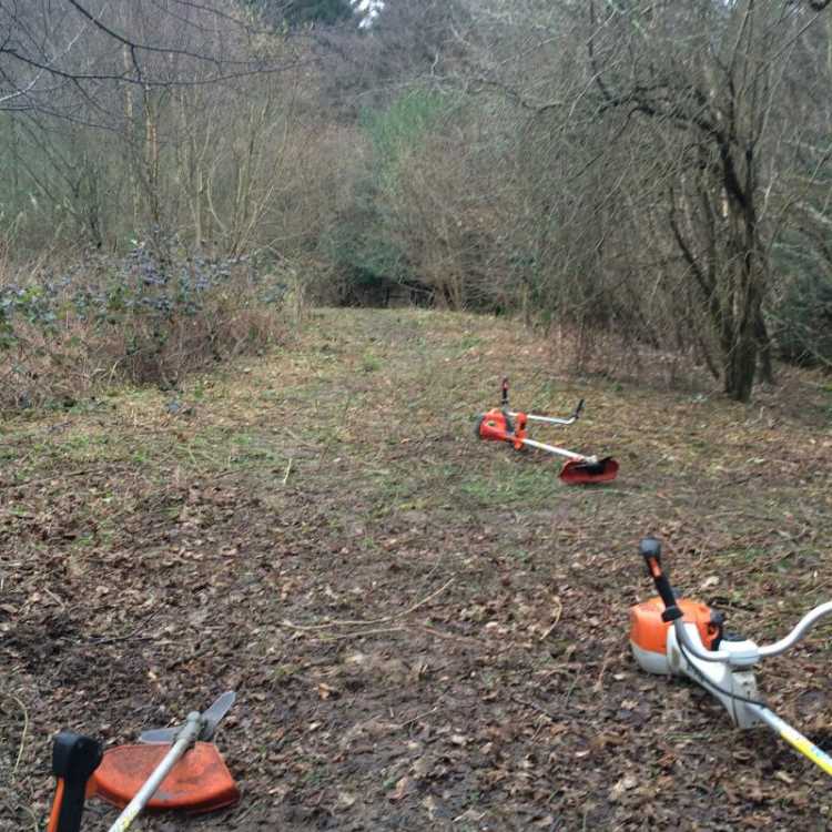 clearing rides during brush cutter training 