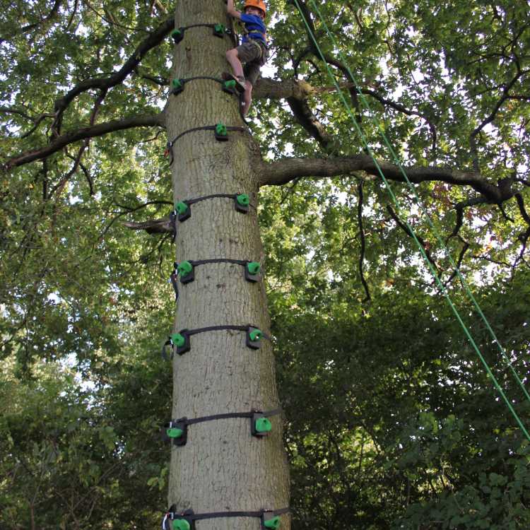 Using Tree Monkey to climb the tree 