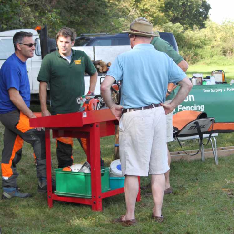 chainsaw maintenance demonstrations