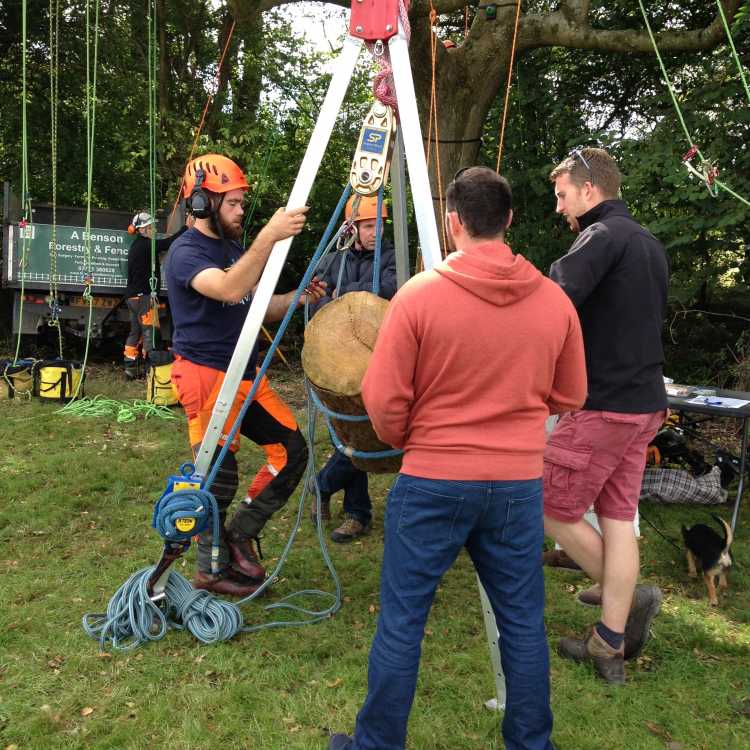 Bentley Woodfair 2017 Rigging workshop