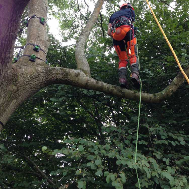 Bentley Woodfair 2017 climbing systems 