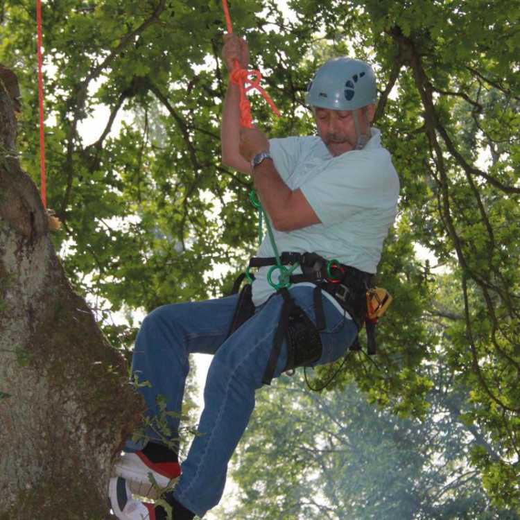 Man climbing down a tree