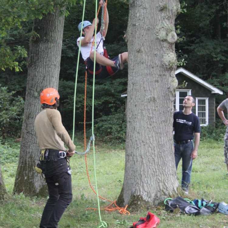 Man starting to climb a tree