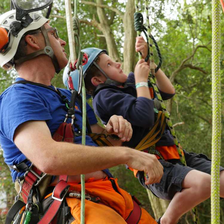 tree climbing training 