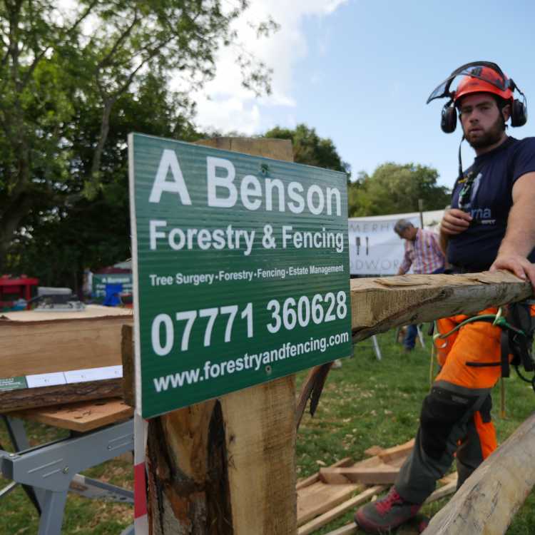 Alex Benson Forestry and Fencing