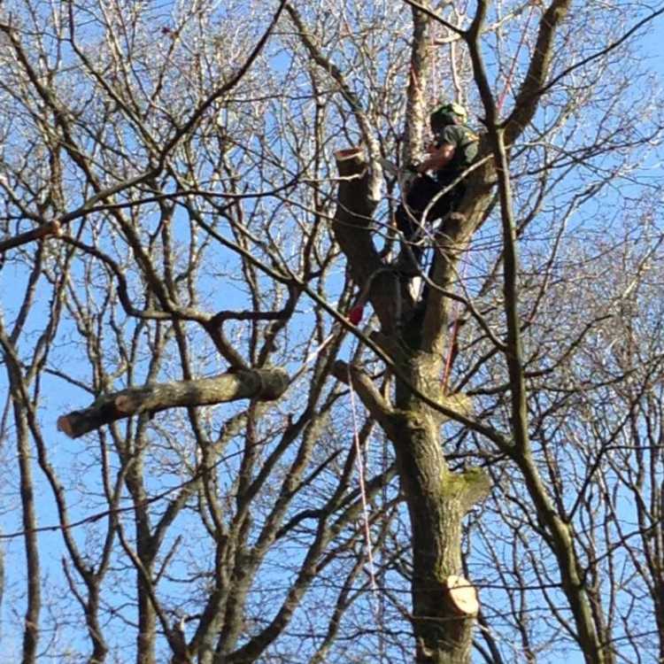 Scott fraser training student conducting Rigging training