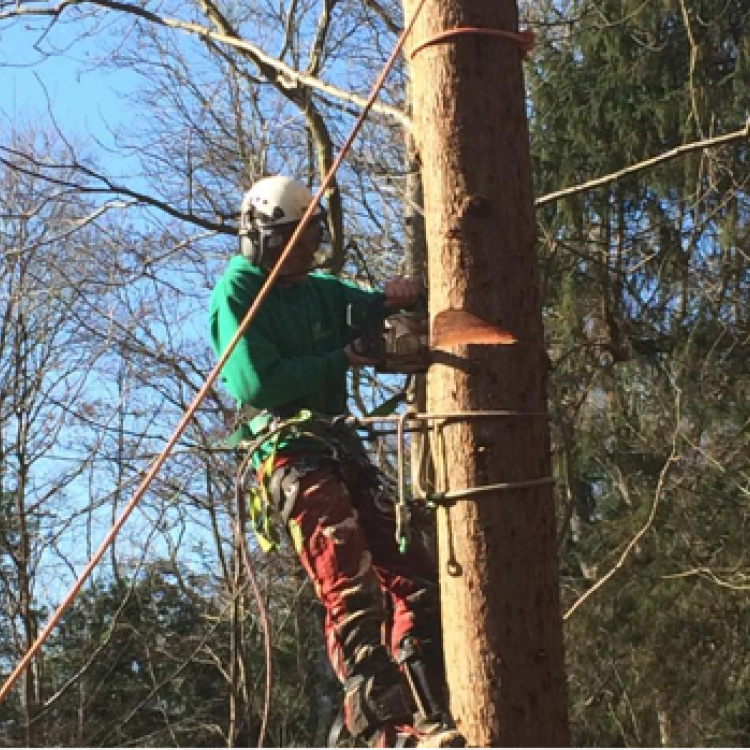 Scott fraser training Rigging training in Kent