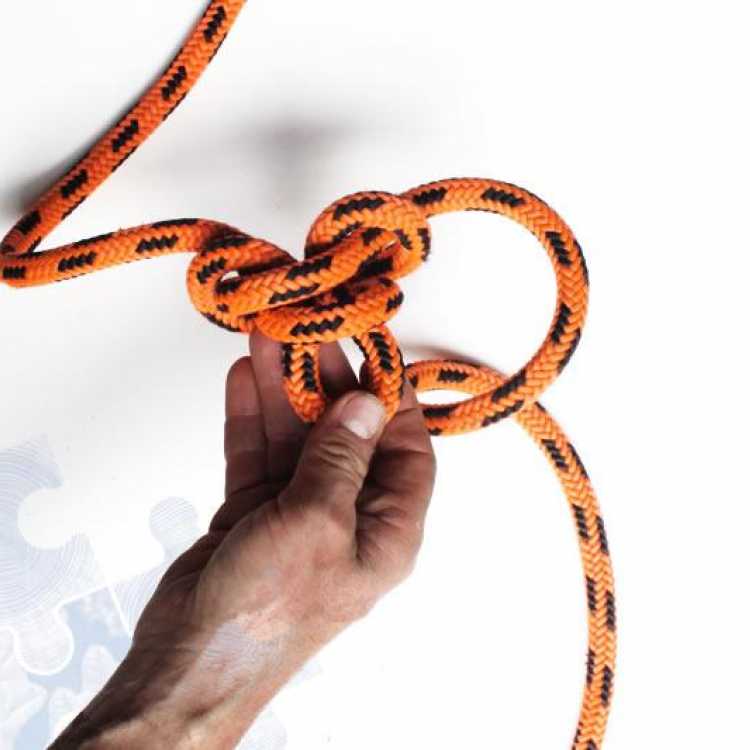 Hand with rope showing the fifth step on creating an alpine butterfly knot. 