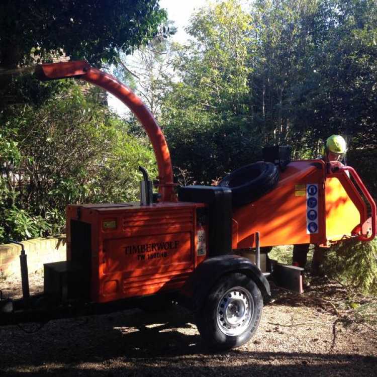 Timberwolf Chipper being used by the Scott Fraser Training team 