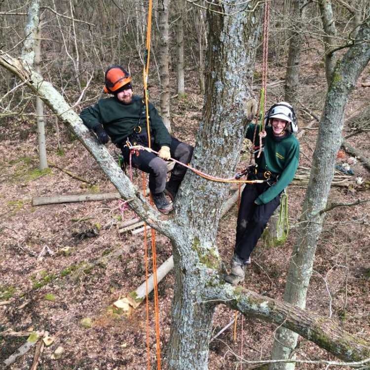 Two climbers 