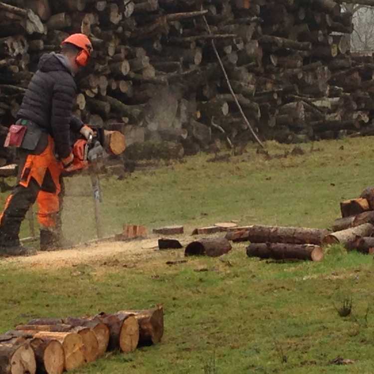 cross cutting using saw bench