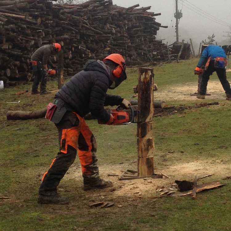 perfecting felling cuts before heading to the woods - gains confidence in cuts