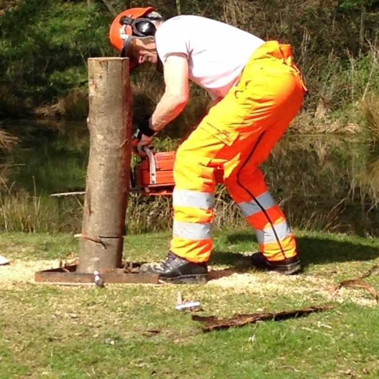 Felling posts for felling cuts practice