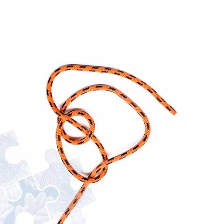 Third step on how to tie a Running Bowline Knot