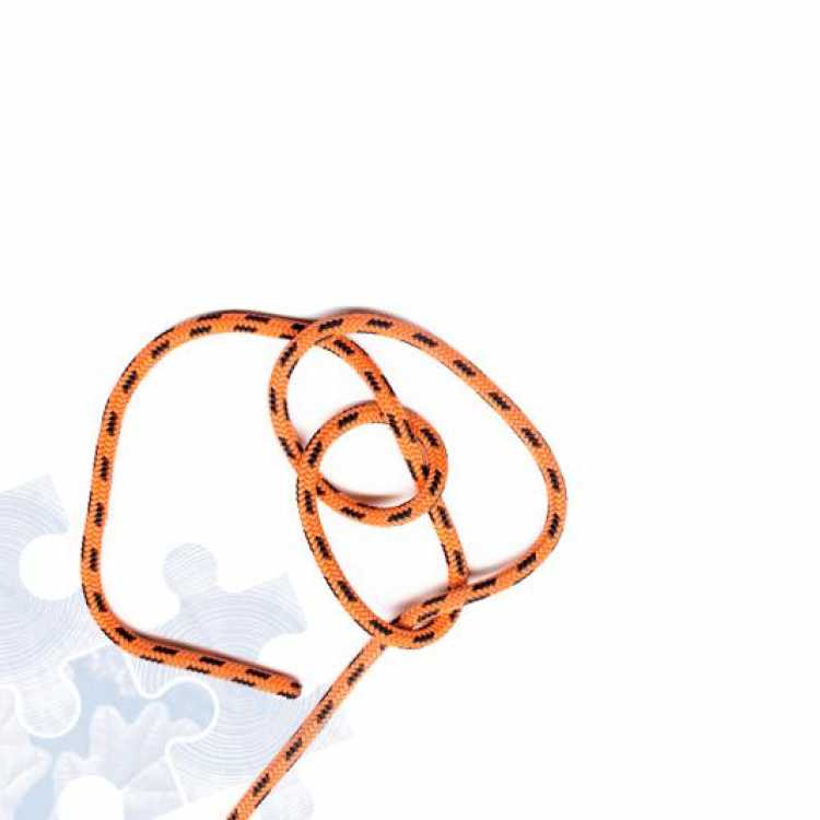 Fourth step on how to tie a Running Bowline Knot