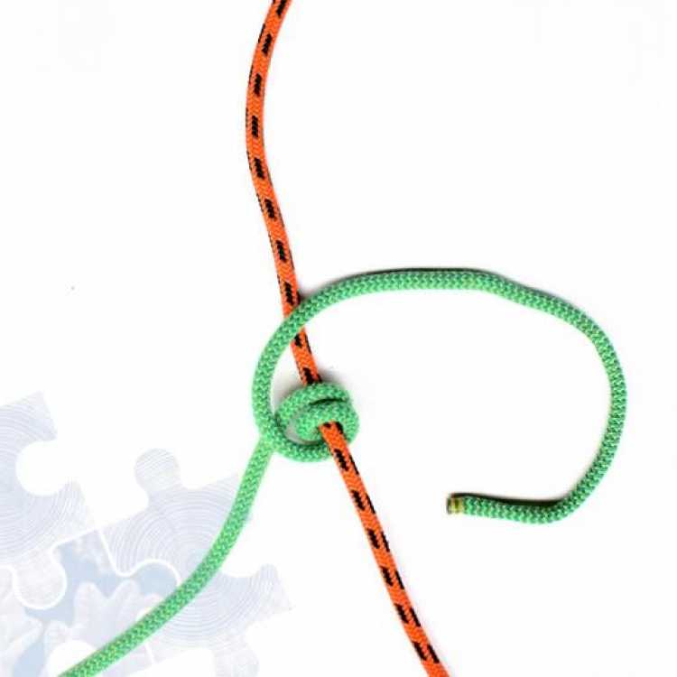 Fourth step on how to tie a Tautline Hitch Knot
