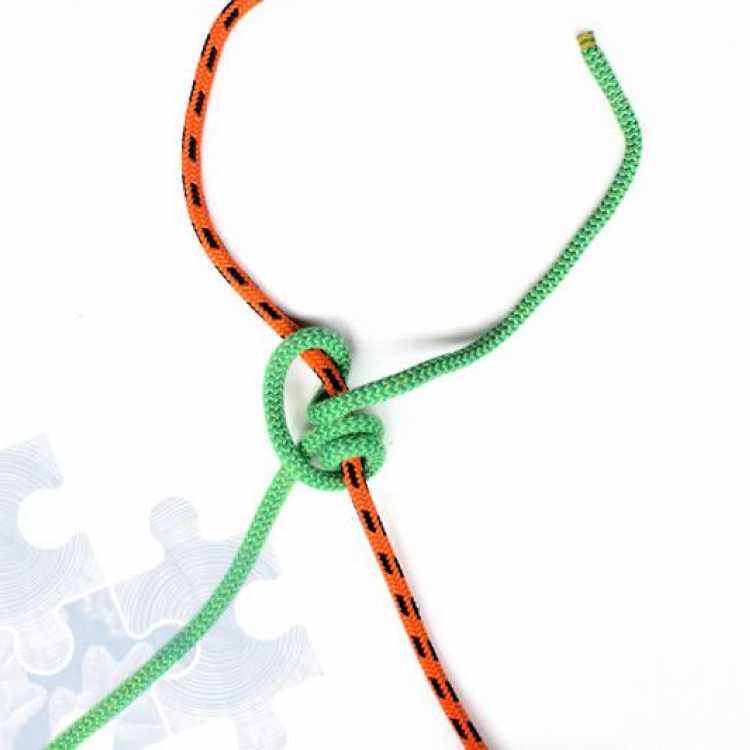 Fifth step on how to tie a Tautline Hitch Knot