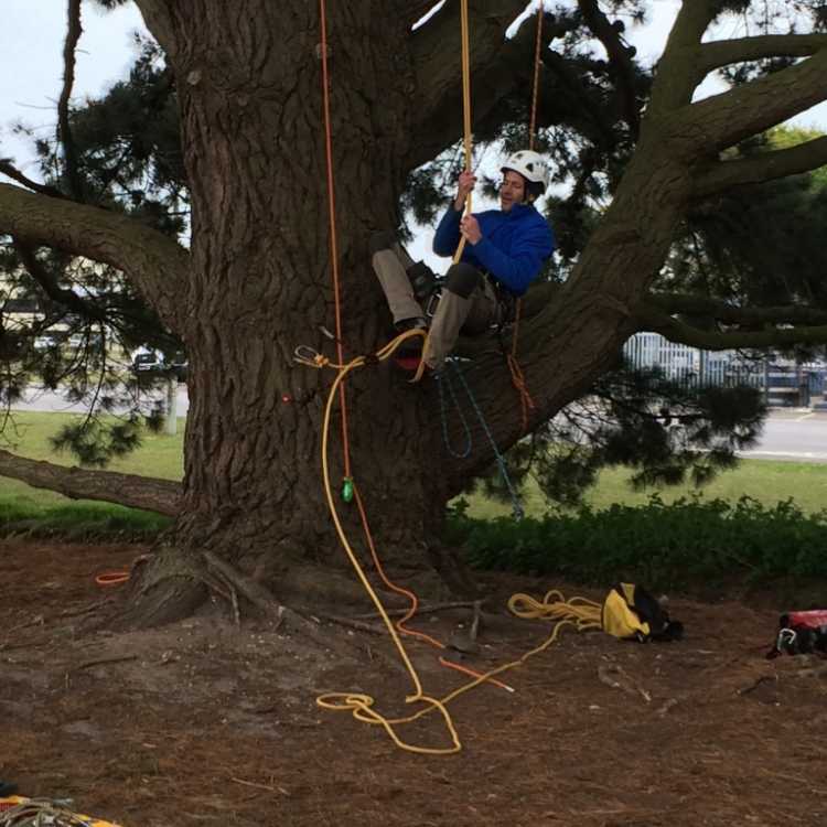 Tree kit SRT workshop footlocking