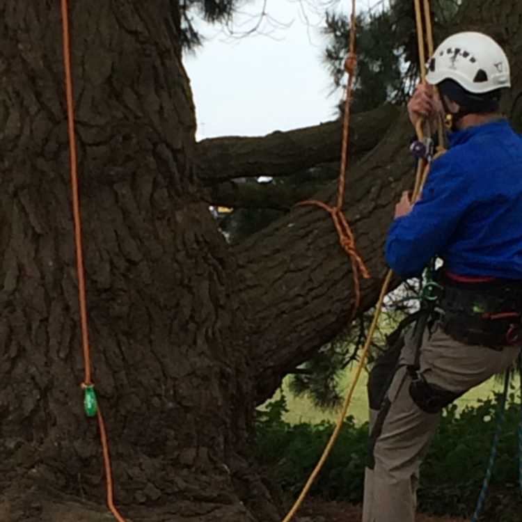 Single Rope Technique Gallery