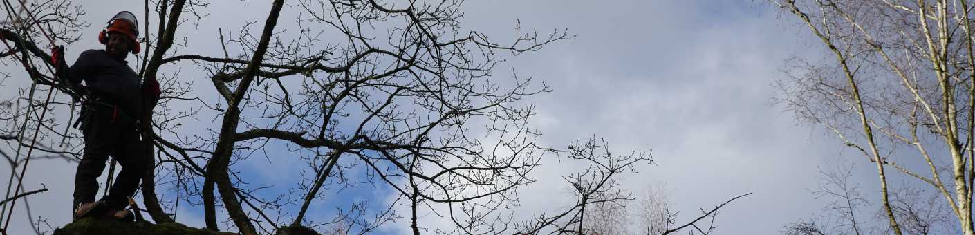 C&G Tree climbing and aerial rescue 