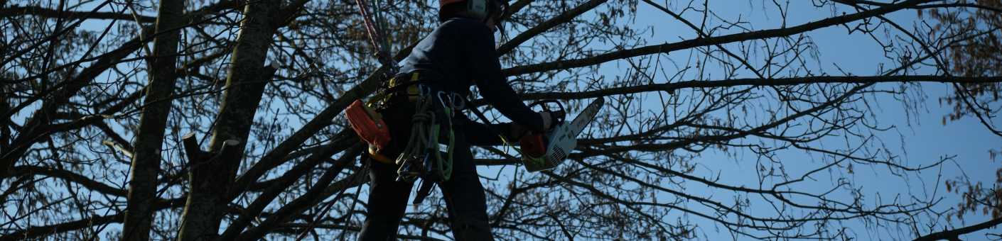 City & Guilds Chainsaw from a rope and harness