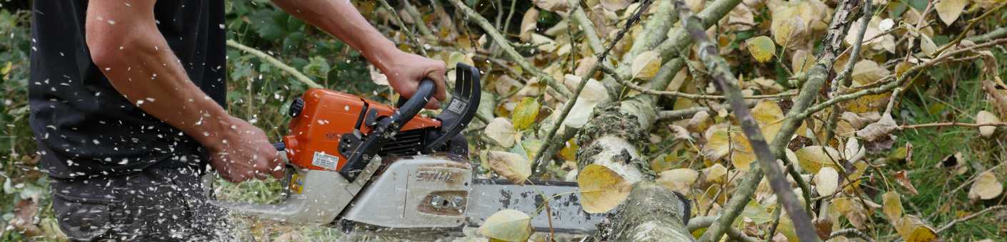 chainsaw training 