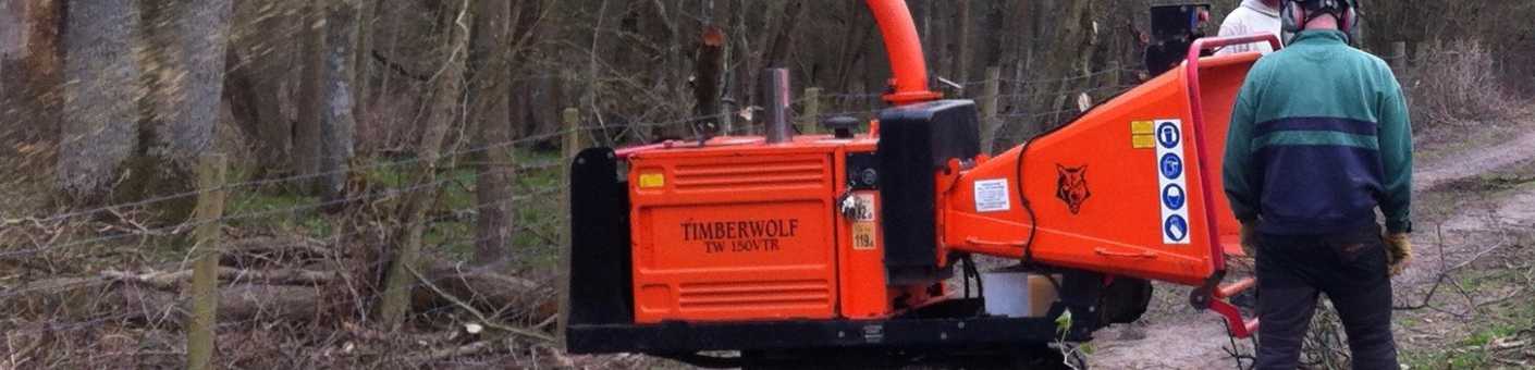 Two tree cutters using a wood chipper 