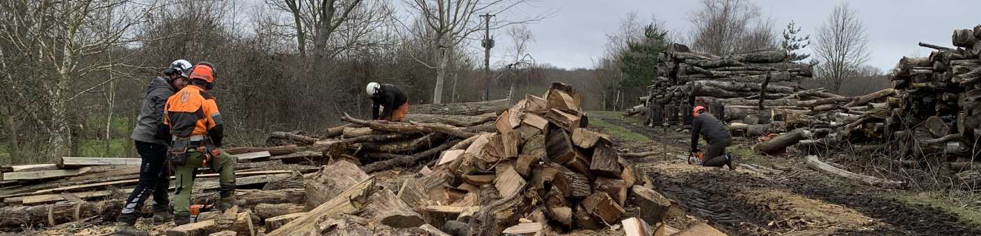 Risk Assessment in Arboriculture – Part 2: Beyond the Five Steps | Scott Fraser Training