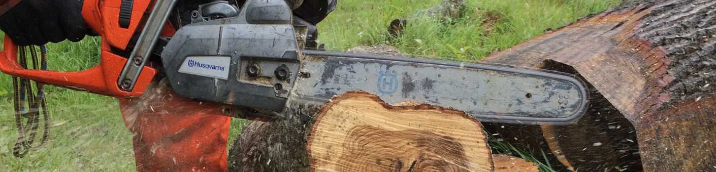 Ground Based Chainsaw cutting through part of a tree
