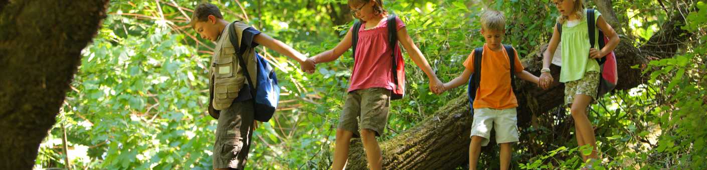 Four kids playing in the wood, spotting Gruffalo's 