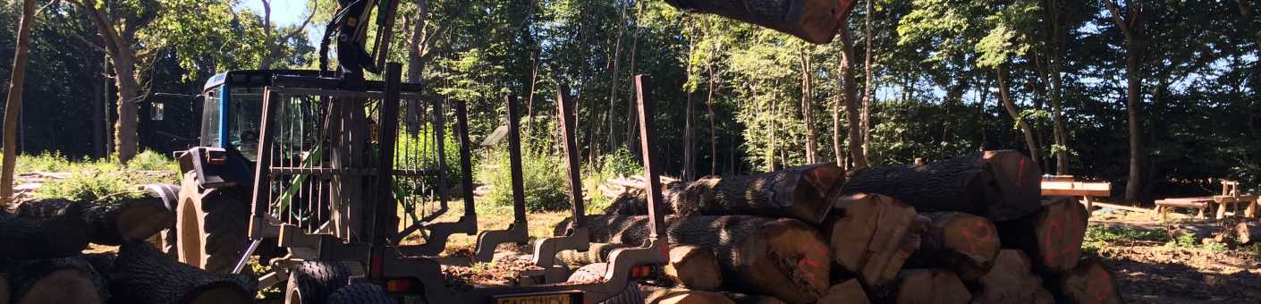 Scott Fraser Trainings Tractor is lifting up logs and arranging and stacking them up in a neat pile