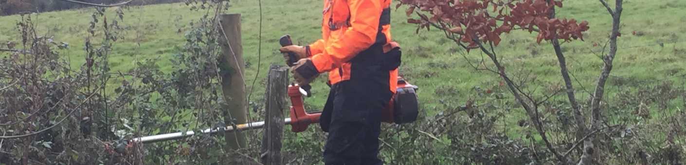 Brushcutter training available 