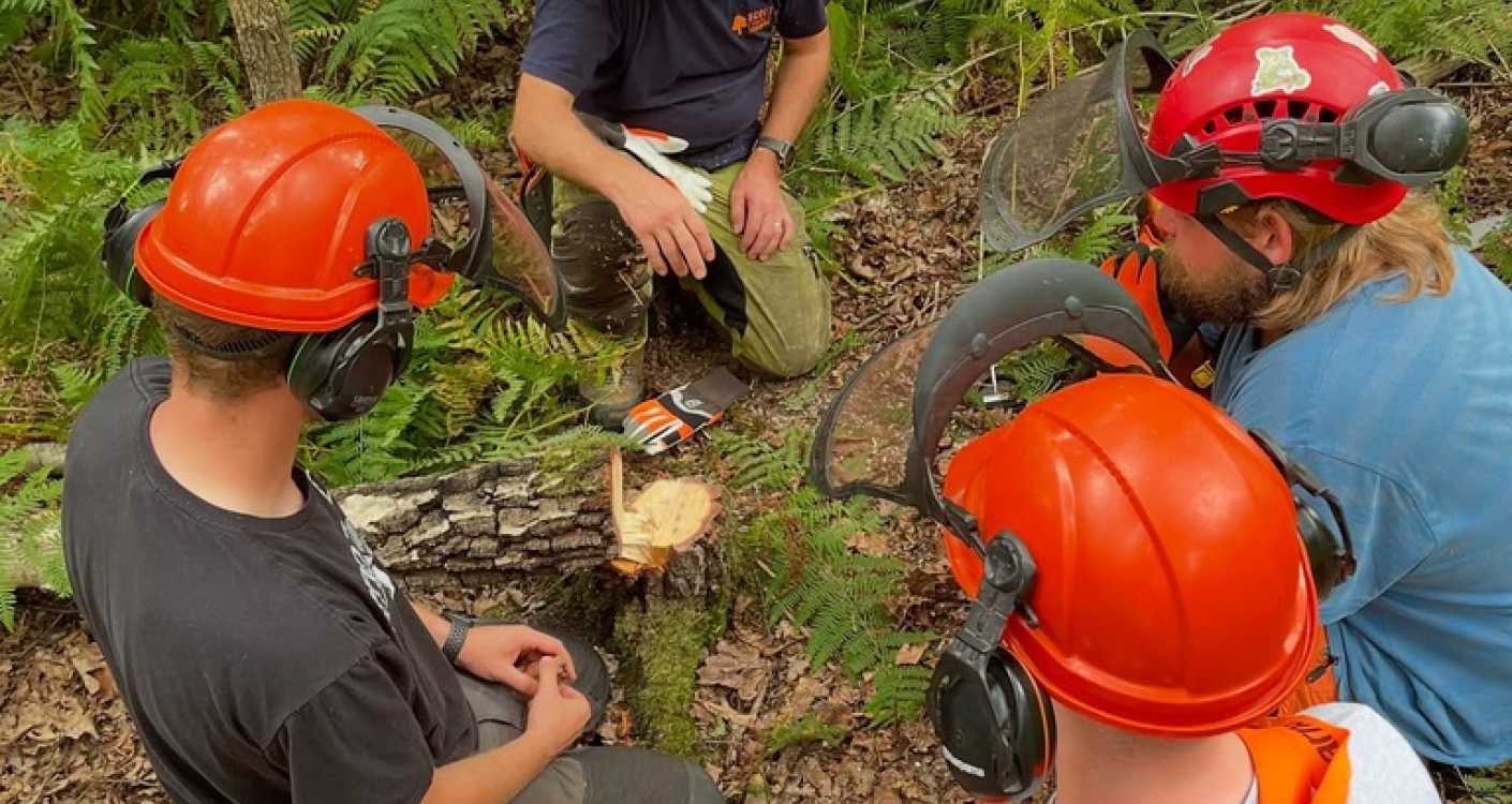 felling cut discussion