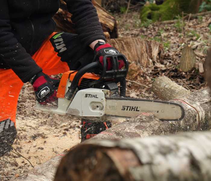 City & Guilds chainsaw 