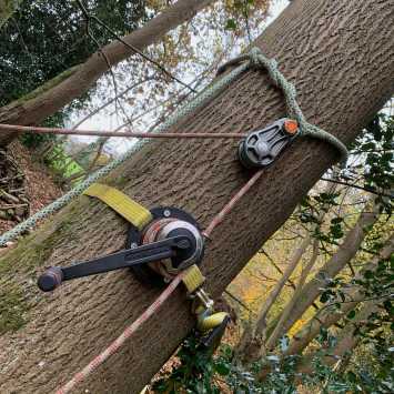 Lantra Awards assisted felling